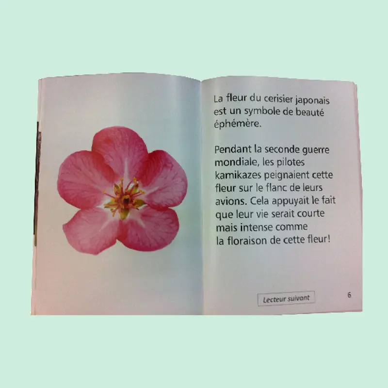 Le cerisier du Japon se déshabille... – Image 3